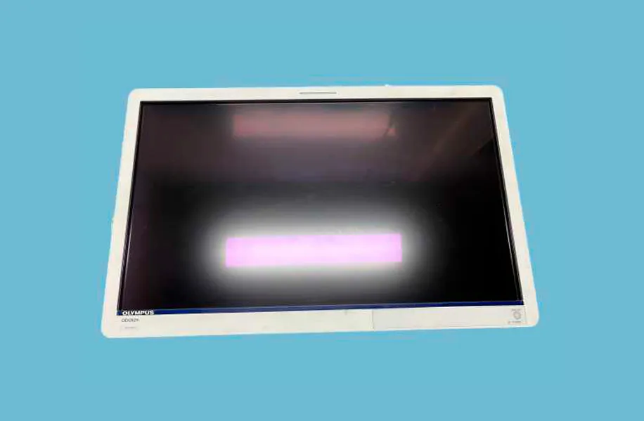 Olympus OEV-262H Monitor